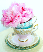 Sweet Tea Party
